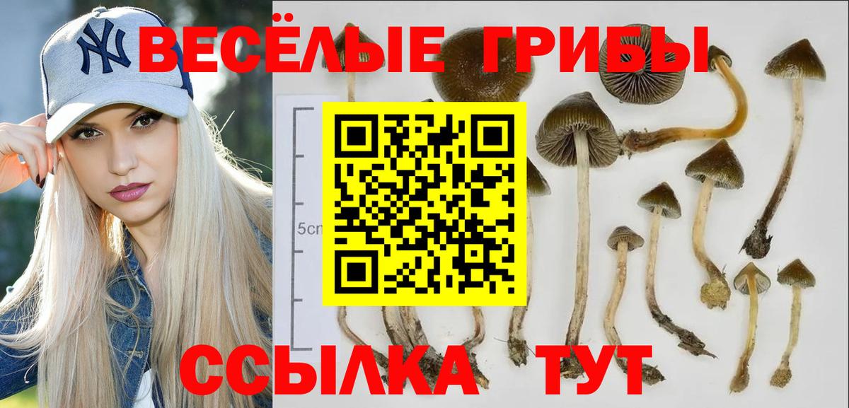 Гашиш  МЕФ  НБОМе  Бошки Шишки  Cocaine  Мефедрон кристаллы  Симферополь  Вход с VPN  Гашиш 
