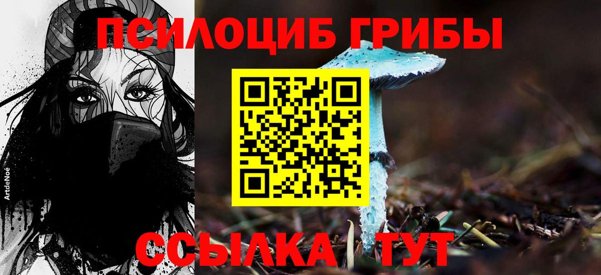 Псилоцибиновые грибы Psilocybine cubensis Симферополь